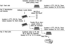 ANTI-RESPIRATORY SYNCYTIAL VIRUS (RSV) ANTIBODY CELL-BASED POTENCY ASSAY