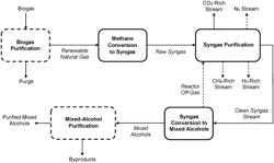 Biogas conversion to mixed alcohols