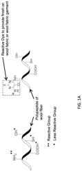 Anti-pilling merino wool fabric, garments comprising thereof, and method of fabrication thereof