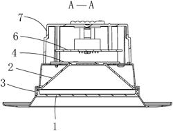 Downlight apparatus