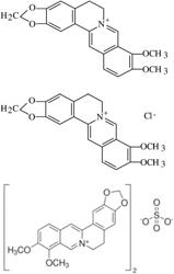 BERBERINE ALKALOIDS IN THE PREVENTION AND/OR TREATMENT OF INTESTINAL DISEASE