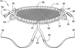 Harness with continuous linemans loop