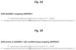 Chemically modified single-stranded RNA-editing oligonucleotides