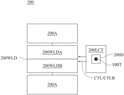 Memory macro including through-silicon via