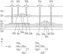 Organic light emitting diode display