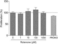 MEDIUM COMPOSITION FOR DERMAL PAPILLA CELL GROWTH, CONTAINING ROTENONE AND ALBUMIN AS ACTIVE INGREDIENTS