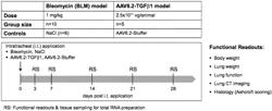 VIRAL VECTORS AND NUCLEIC ACIDS FOR USE IN THE TREATMENT OF ILD, PF-ILD AND IPF