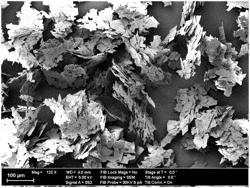 Dental composition comprising a dental filler containing a structural filler and silanated glass flakes