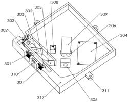 Portable apparatus for detecting early crop diseases based on spatial frequency domain imaging and detection method using same