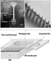 FUNCTIONING OF INTERSTITIAL FLUID HARVESTING AND PROCESSING PATCH USING GEL OSMOSIS AND PAPER MICROFLUIDICS