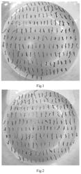 Medium for tissue rapid propagation of blueberry stem segment and a method for tissue rapid propagation