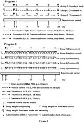 USE OF CRASSOCEPHALUM RABENS EXTRACT IN THE PREVENTION AND/OR TREATMENT OF FATIGUE AND/OR DEPRESSION