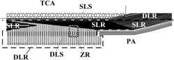 TOUCH CONTROL STRUCTURE AND DISPLAY APPARATUS