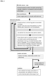 Agriculturally beneficial microbes, microbial compositions, and consortia