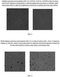 BIODEGRADABLE MICROCAPSULES. PROCESS FOR PREPARING THE SAME AND METHOD OF USE THEREOF