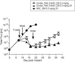 THERAPEUTIC ANTIBODIES AND THEIR USES