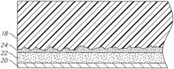 Polymer Coating Formulation and Application Methods