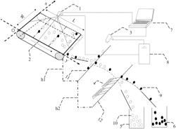 Color sorting method for small-grain agricultural products combining area scanning photoelectric characteristic and line scanning photoelectric characteristic