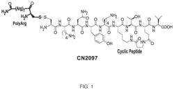 Cyclic peptidomimetic for the treatment of neurological disorders