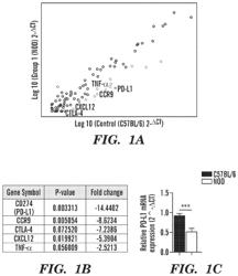 Treatment of type 1 diabetes and autoimmune diseases or disorders