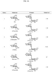 Chemoenzymatic synthesis of trehalose analogues