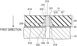 Electrostatic adsorption member and substrate fixing device