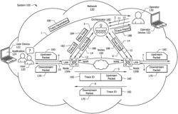 Systems and methods for determining a network path trace