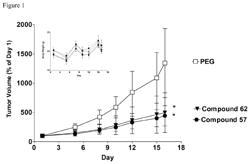 Sphingosine kinase inhibitors