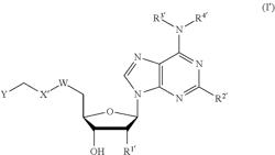 CD73 INHIBITORS AND PHARMACEUTICAL USES THEREOF