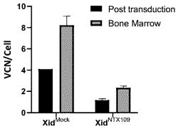 LENTIVIRAL VECTORS FOR THERAPEUTIC EXPRESSION OF BTK IN HEMATOPOIETIC CELLS