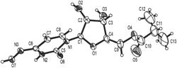 NOVEL FORMS OF ANTIVIRAL NUCLEOSIDES