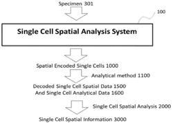 METHOD AND APPARATUS FOR ENCODING CELLULAR SPATIAL POSITION INFORMATION