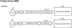 Methods of Preparing Directional Tagmentation Sequencing Libraries Using Transposon-Based Technology with Unique Molecular Identifiers for Error Correction