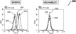 DUAL-SPECIFIC APTAMER TRIGGERING CELL-MEDIATED CYTOTOXICITY TO LYSE HER2-POSITIVE CANCER CELLS