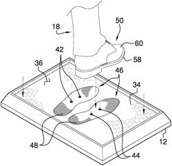 Shoe sanitizing assembly