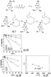 Nucleobase analogue derivatives and their applications