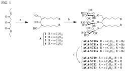 1,3-acetonedicarboxylate-derived amphipathic compounds and uses thereof