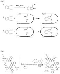 Cyclic peptide analogs of melanocortin and amanitin and methods of making such