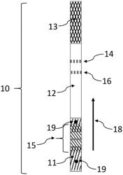 Delay process to provide timed chemistry to lateral-flow immunoassays