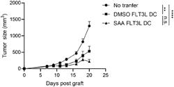 COMPOSITIONS AND METHODS FOR INHIBITING YTHDF1