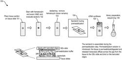 SAMPLE HANDLING APPARATUS AND FLUID DELIVERY METHODS