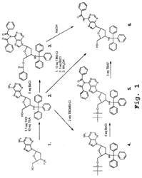 Synthesis of Protected 3'-amino Nucleoside Monomers