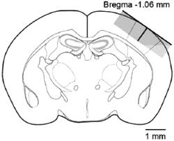 COMPOSITIONS AND METHODS FOR TREATING EPILEPSY