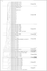 Method for producing fermented food, fermented food, and lactic acid bacteria-containing composition