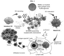 Dual-scale porous silica particle-based composition for preventing or treating cancer