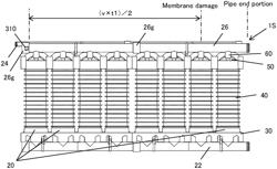 Membrane defect inspection method and membrane defect inspection device