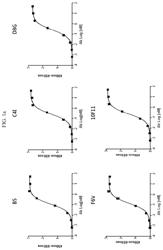 Anti-B7-H3 antibody and use thereof