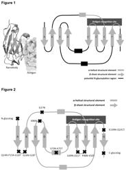 Glycosylation of variable immunoglobulin domains