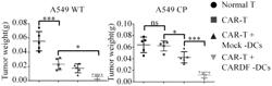 DENDRITIC CELL ACTIVATING CHIMERIC ANTIGEN RECEPTORS AND USES THEREOF