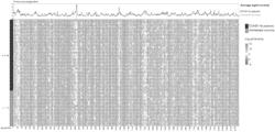 IDENTIFICATION OF SARS-COV-2 EPITOPES DISCRIMINATING COVID-19 INFECTION FROM CONTROL AND METHODS OF USE